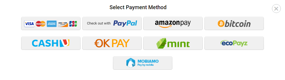 Figure 5.2. Payment methods.